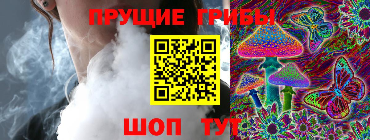 Шуя  Галлюциногенные грибы MAGIC MUSHROOMS  Вход с VPN 