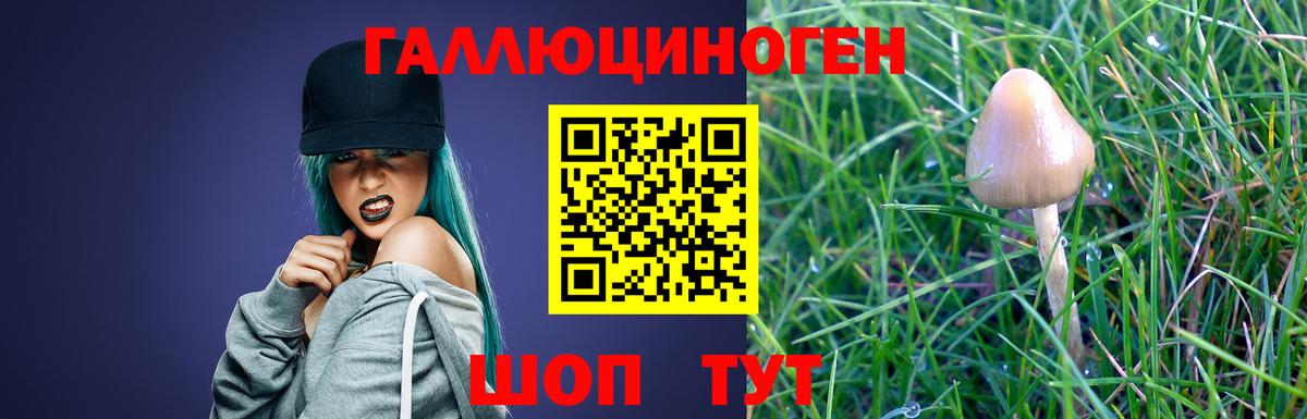 Псилоцибиновые грибы Magic Shrooms Шуя